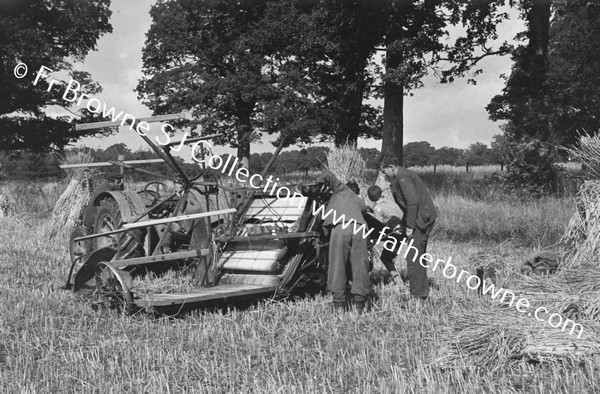 HARVESTING AT ST MARY'S THE HELPERS